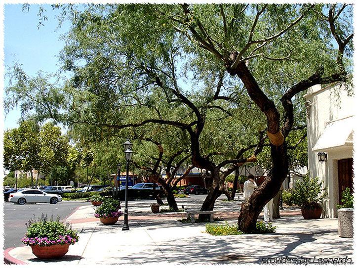 Homewood Suites Tucson St. Philip'S Plaza University Экстерьер фото